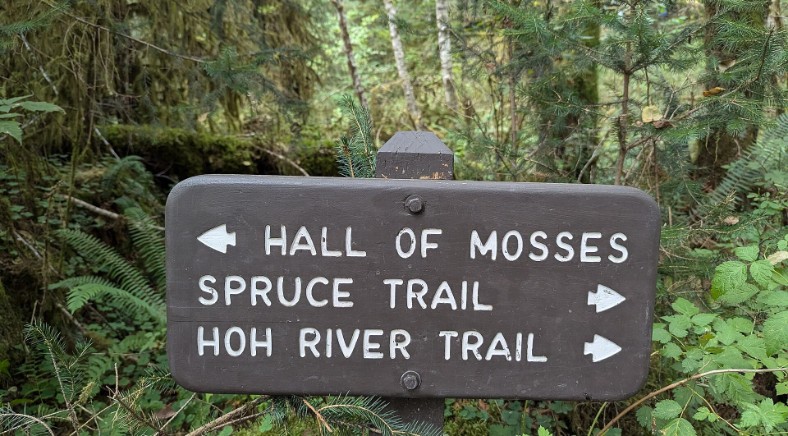 A trail sign in the Hoh Rain Forest points to the Hall of Mosses, Spruce Trail, and Hoh River Trail