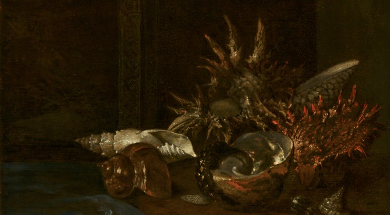 A dark still life painting of seashells on a table, by Willem Kalf