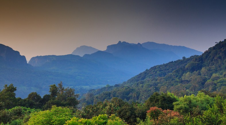 Blue mountain peaks of the Knuckles Mountain Range in Sri Lanka rise above green forest at dusk